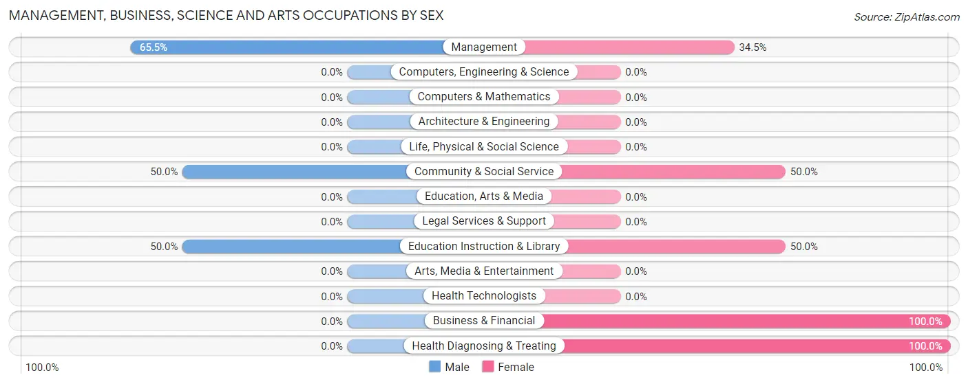 Management, Business, Science and Arts Occupations by Sex in Pecan Gap