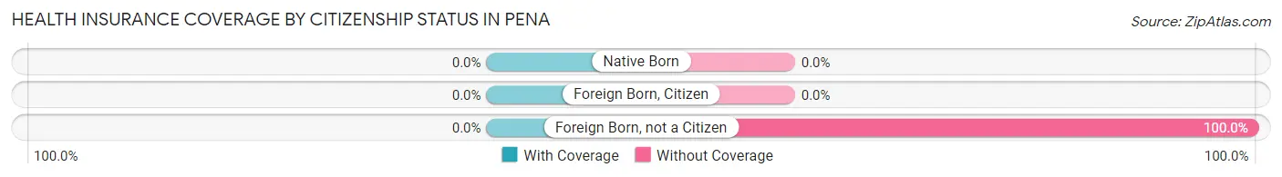 Health Insurance Coverage by Citizenship Status in Pena