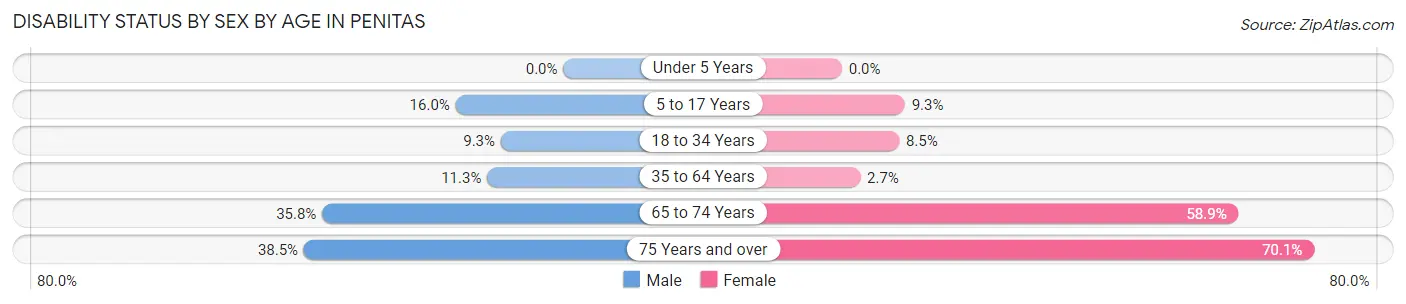 Disability Status by Sex by Age in Penitas