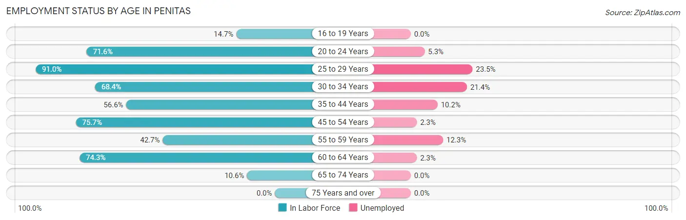 Employment Status by Age in Penitas