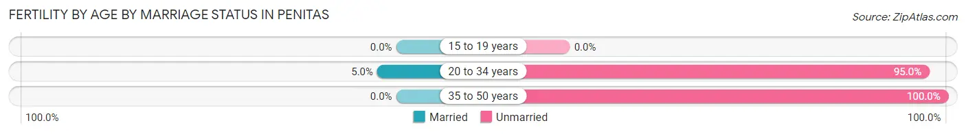 Female Fertility by Age by Marriage Status in Penitas