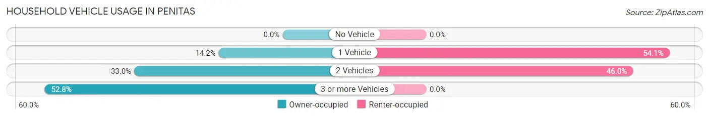 Household Vehicle Usage in Penitas