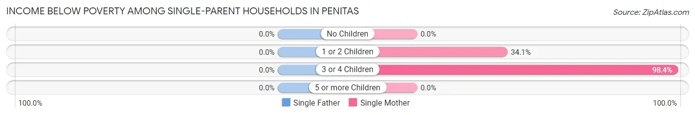Income Below Poverty Among Single-Parent Households in Penitas