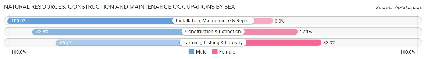 Natural Resources, Construction and Maintenance Occupations by Sex in Penitas