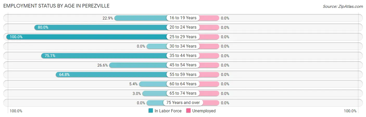 Employment Status by Age in Perezville
