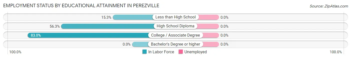 Employment Status by Educational Attainment in Perezville