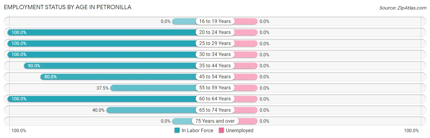 Employment Status by Age in Petronilla
