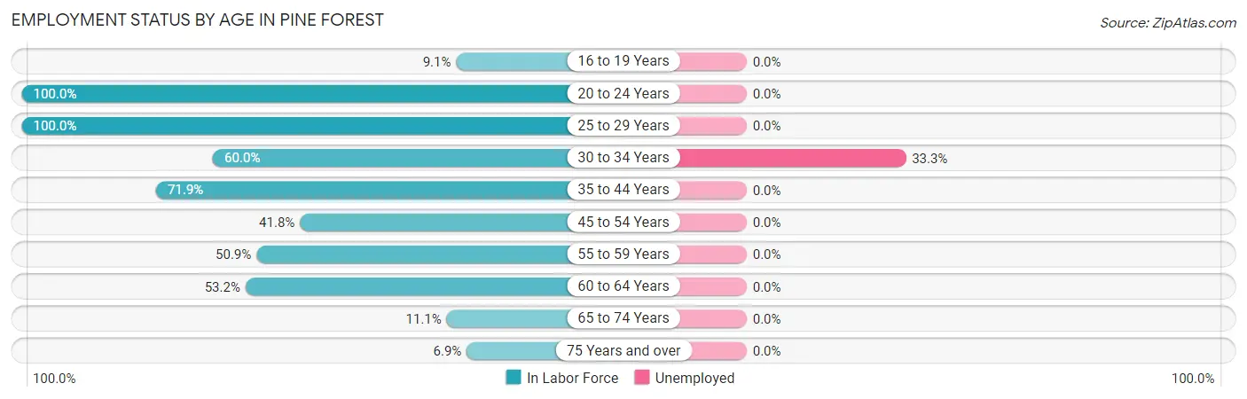 Employment Status by Age in Pine Forest