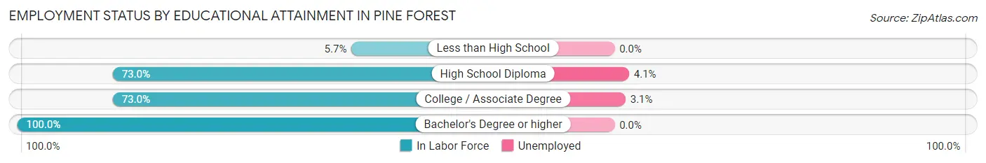 Employment Status by Educational Attainment in Pine Forest