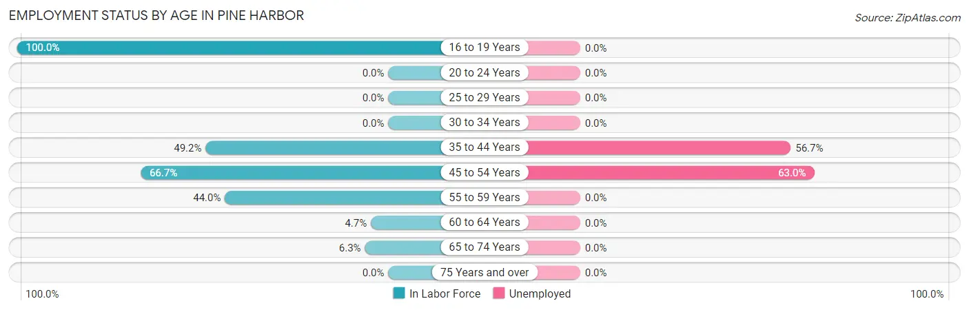 Employment Status by Age in Pine Harbor