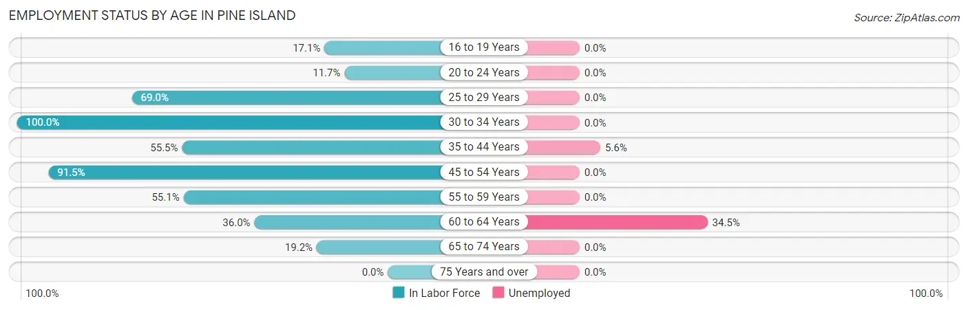 Employment Status by Age in Pine Island