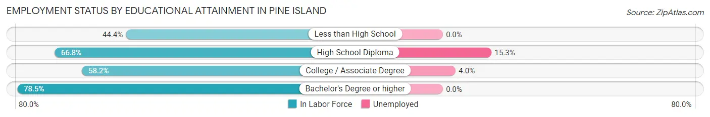 Employment Status by Educational Attainment in Pine Island