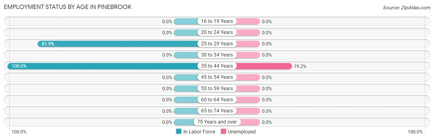 Employment Status by Age in Pinebrook