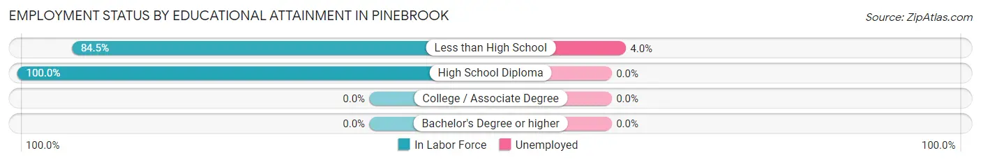 Employment Status by Educational Attainment in Pinebrook