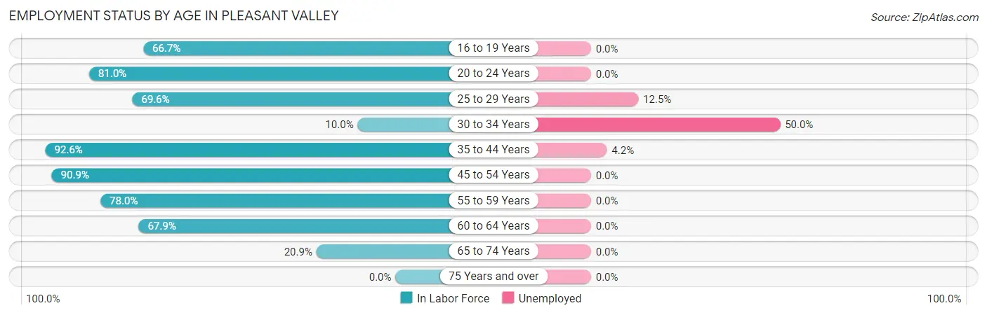 Employment Status by Age in Pleasant Valley