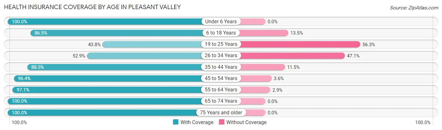 Health Insurance Coverage by Age in Pleasant Valley