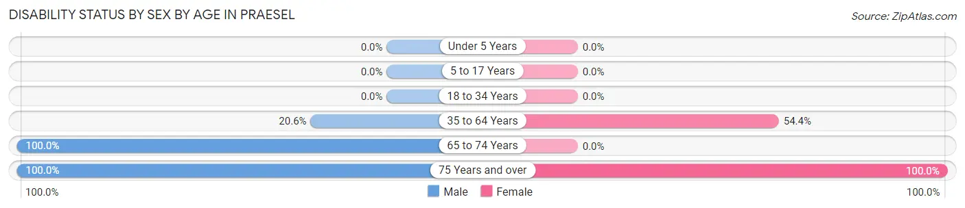Disability Status by Sex by Age in Praesel
