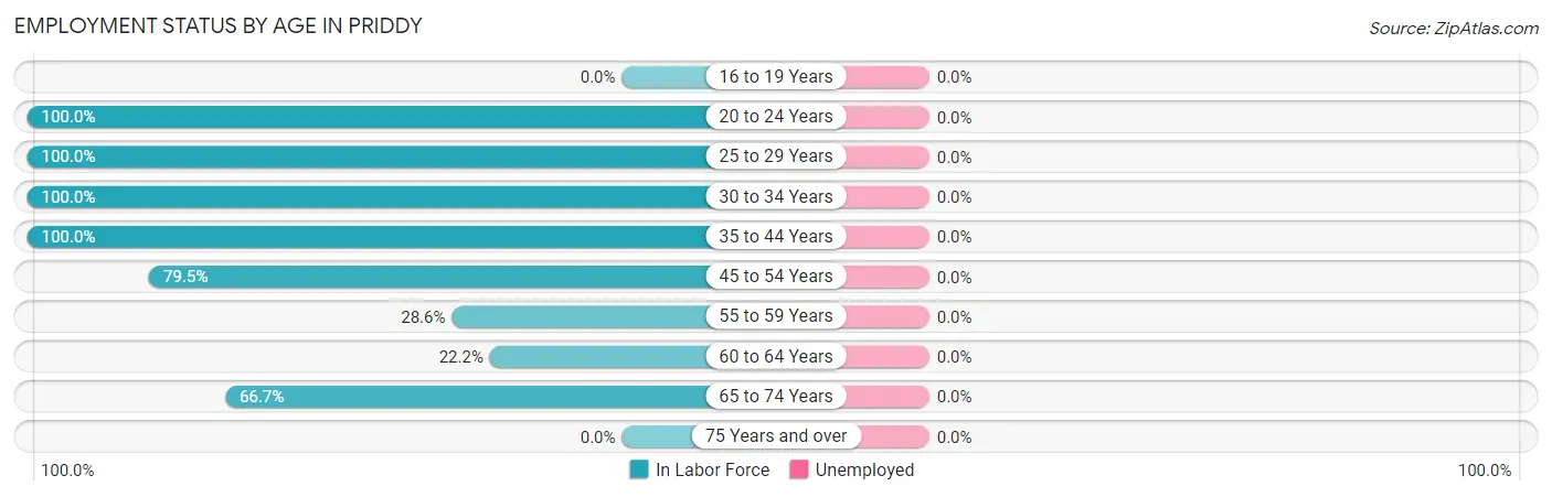 Employment Status by Age in Priddy