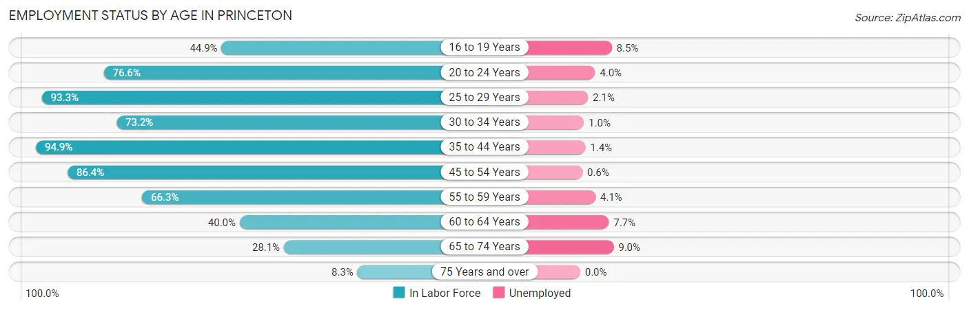 Employment Status by Age in Princeton