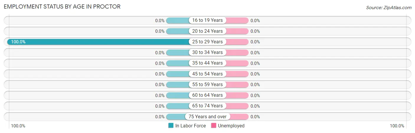 Employment Status by Age in Proctor