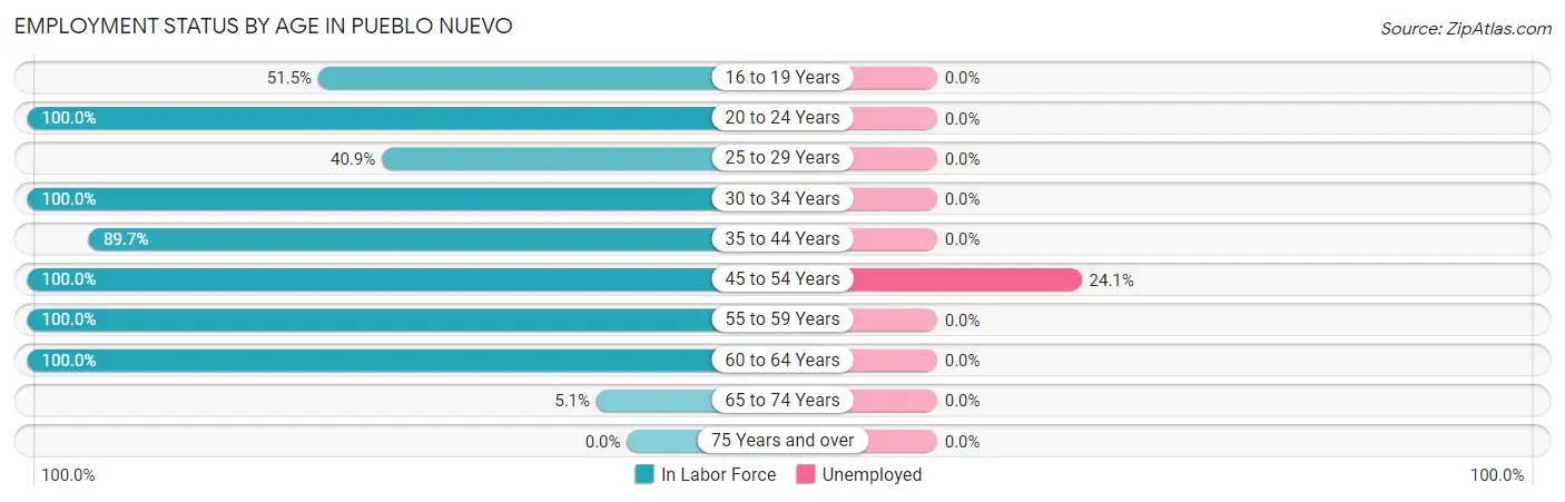 Employment Status by Age in Pueblo Nuevo