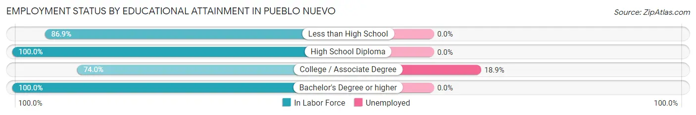 Employment Status by Educational Attainment in Pueblo Nuevo