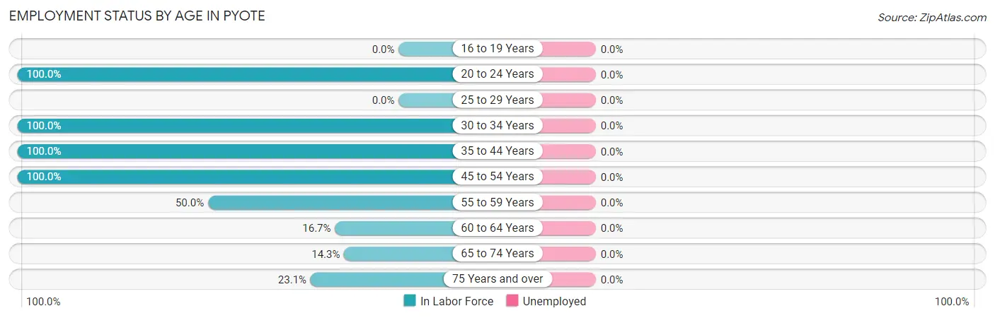 Employment Status by Age in Pyote