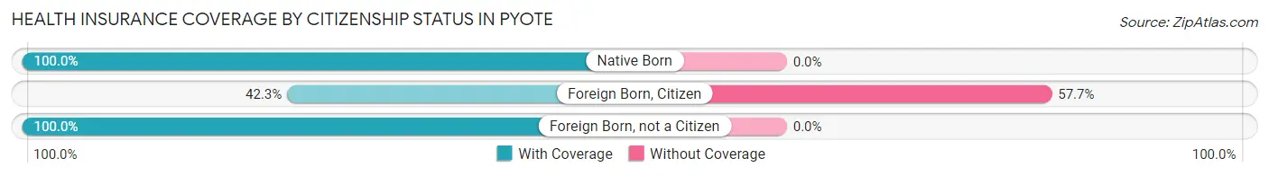 Health Insurance Coverage by Citizenship Status in Pyote