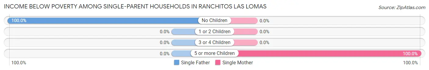 Income Below Poverty Among Single-Parent Households in Ranchitos Las Lomas