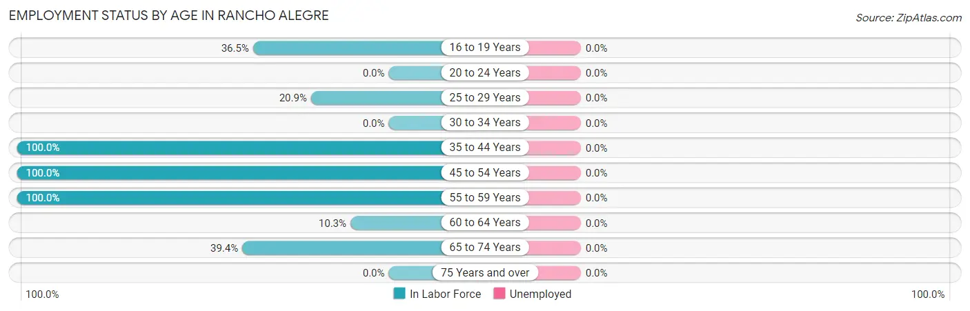 Employment Status by Age in Rancho Alegre