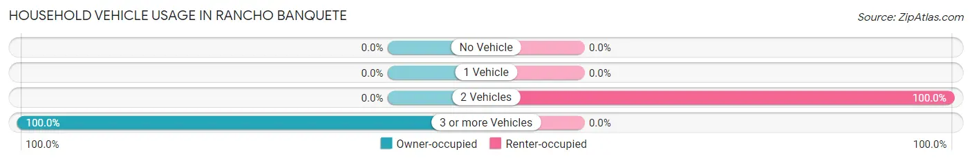 Household Vehicle Usage in Rancho Banquete