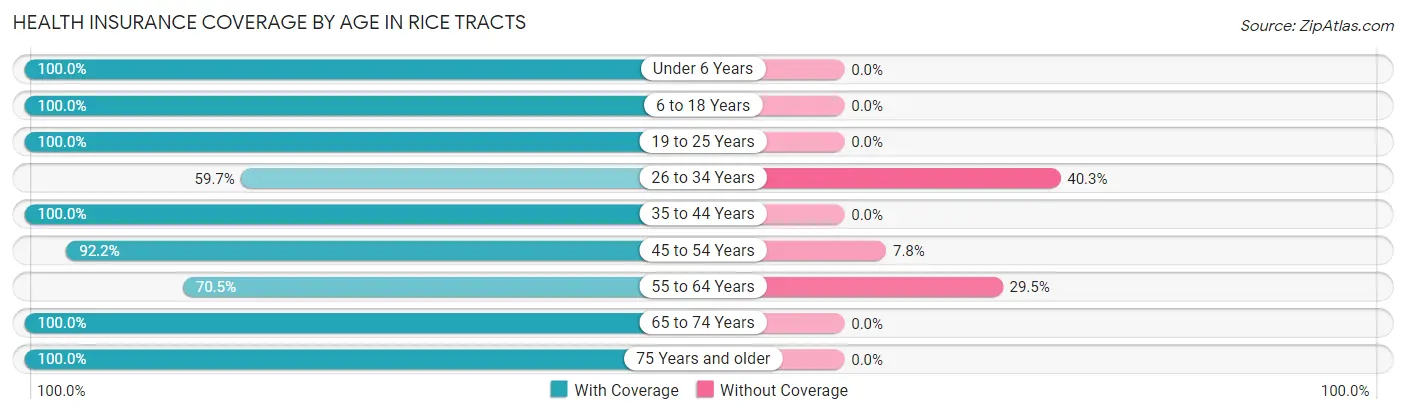 Health Insurance Coverage by Age in Rice Tracts
