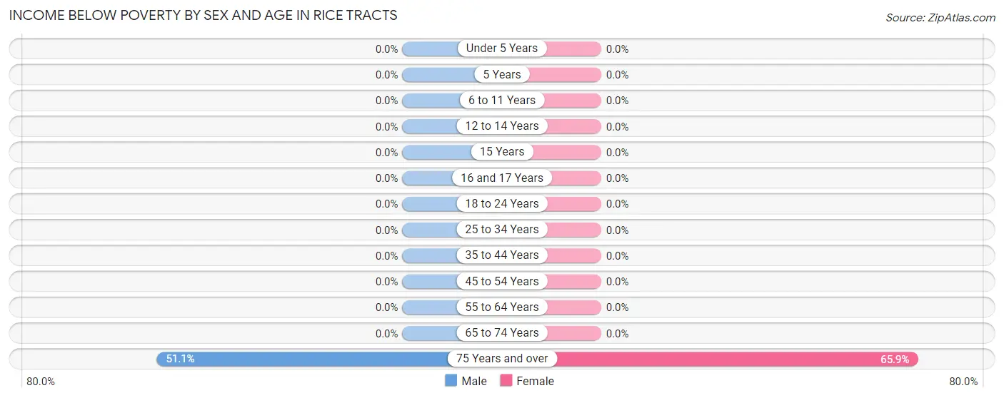 Income Below Poverty by Sex and Age in Rice Tracts