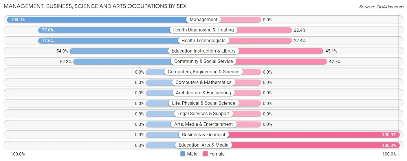 Management, Business, Science and Arts Occupations by Sex in Rice Tracts