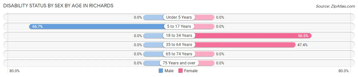Disability Status by Sex by Age in Richards