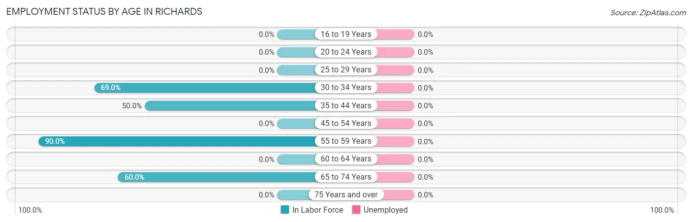 Employment Status by Age in Richards