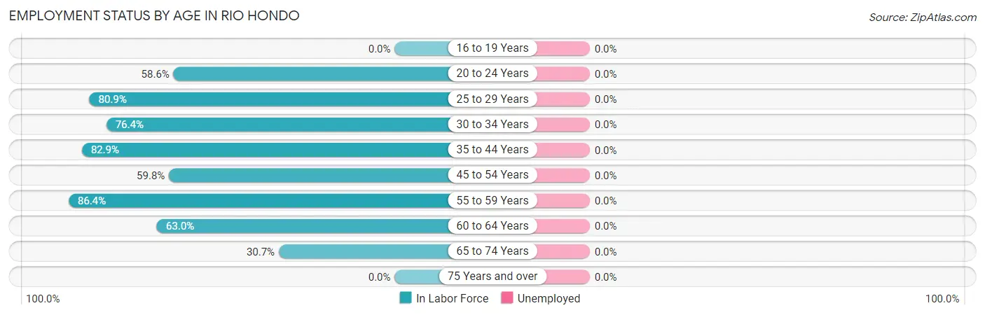 Employment Status by Age in Rio Hondo