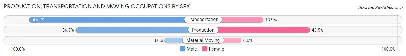 Production, Transportation and Moving Occupations by Sex in Rio Hondo