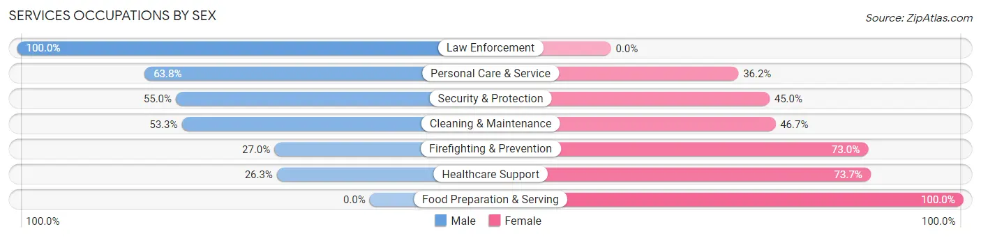 Services Occupations by Sex in Rio Hondo