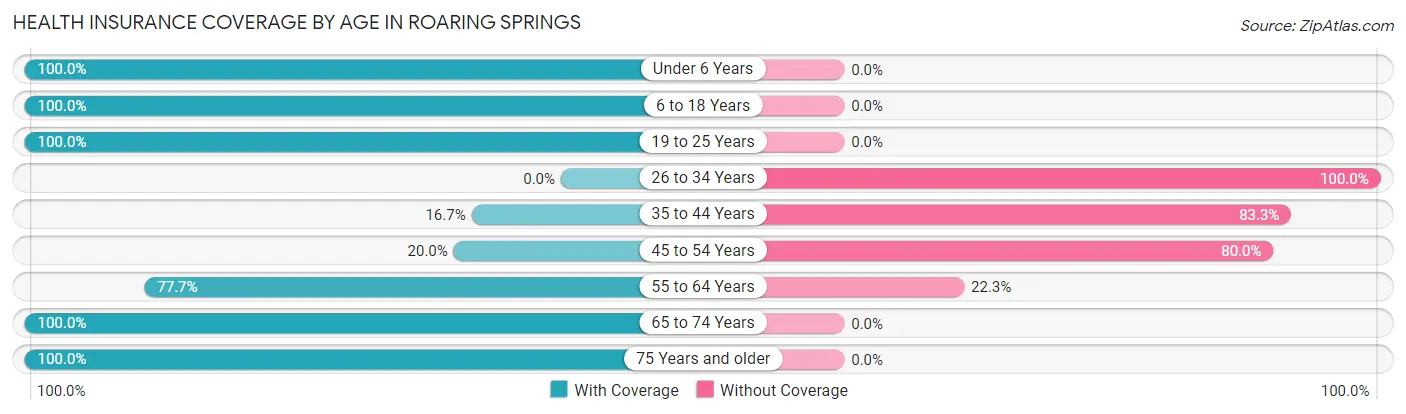 Health Insurance Coverage by Age in Roaring Springs