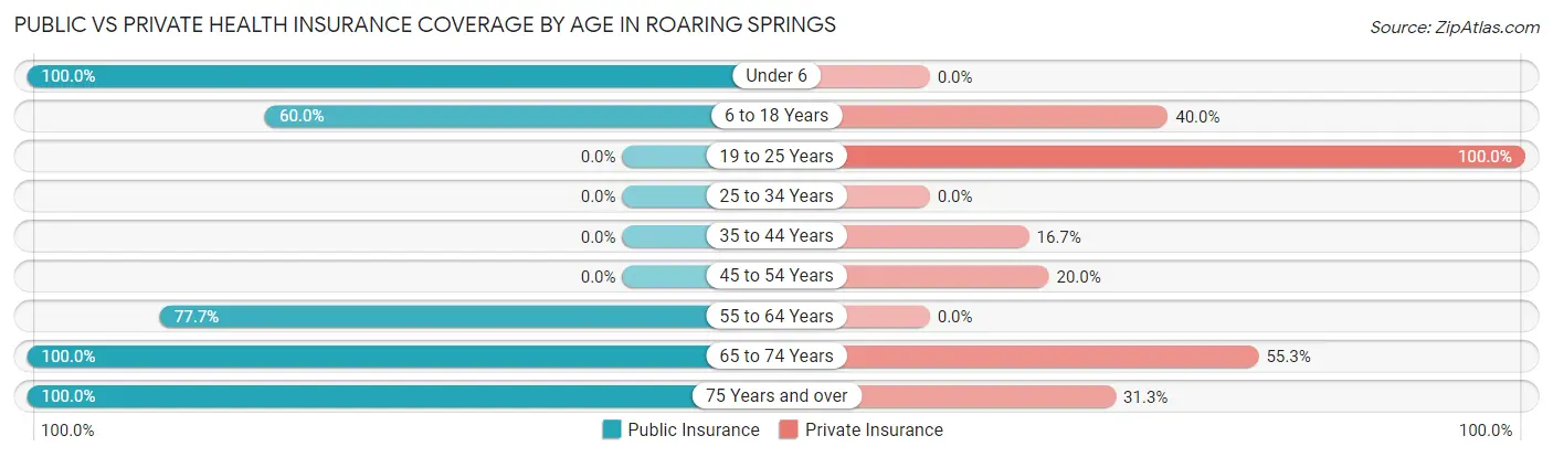 Public vs Private Health Insurance Coverage by Age in Roaring Springs