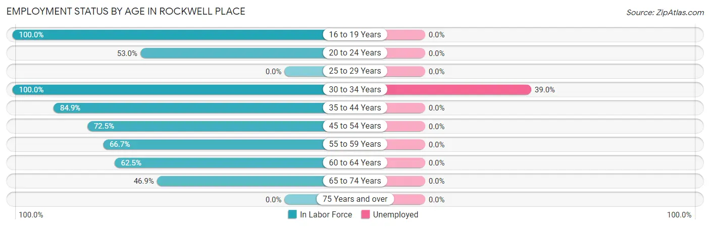Employment Status by Age in Rockwell Place