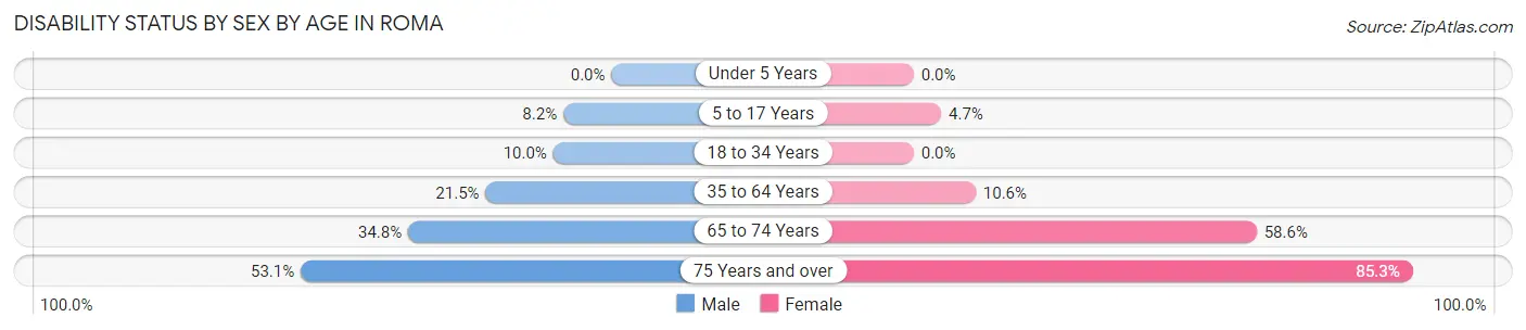 Disability Status by Sex by Age in Roma