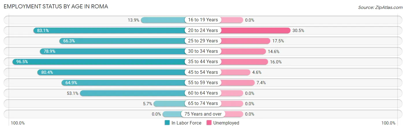 Employment Status by Age in Roma