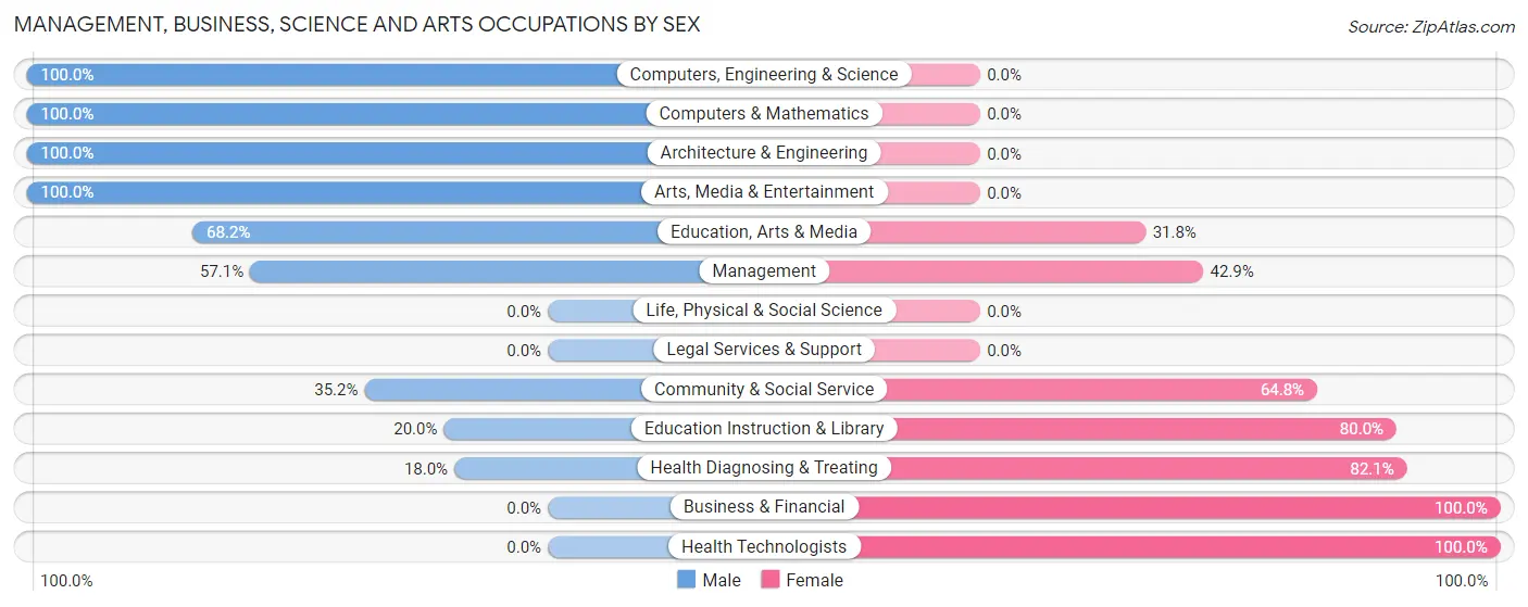 Management, Business, Science and Arts Occupations by Sex in Roma