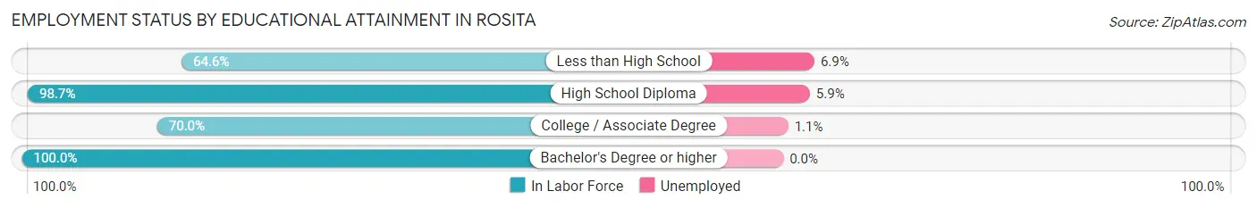 Employment Status by Educational Attainment in Rosita