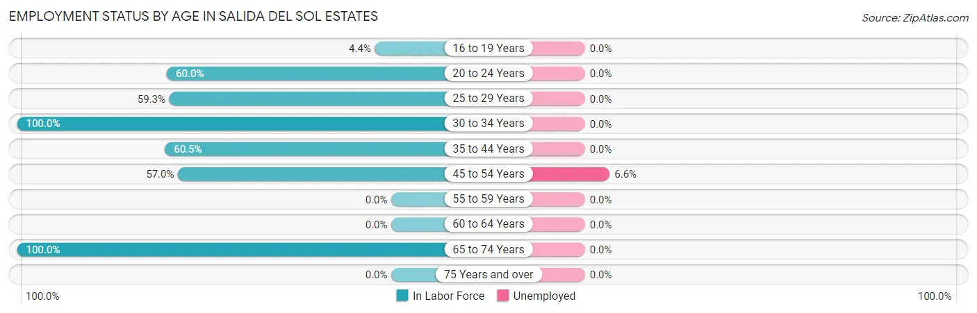 Employment Status by Age in Salida del Sol Estates