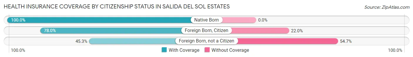Health Insurance Coverage by Citizenship Status in Salida del Sol Estates