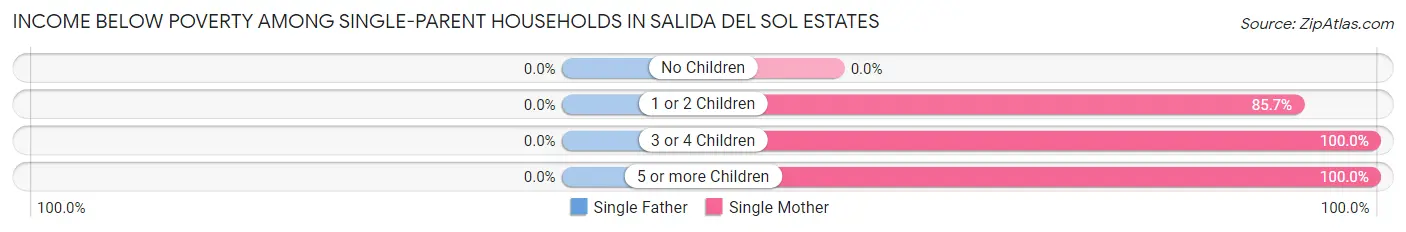Income Below Poverty Among Single-Parent Households in Salida del Sol Estates