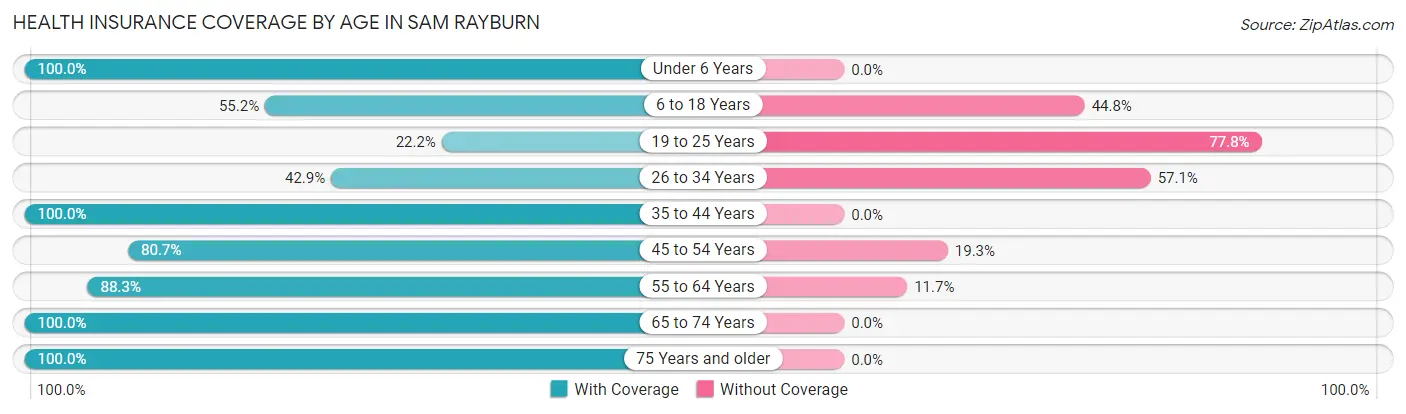 Health Insurance Coverage by Age in Sam Rayburn